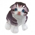 /album/papel-de-parede/scottish-fold-thl-jpg/